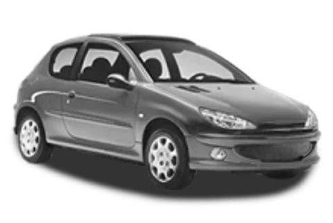 Peugeot 206 — ulei recomandat
