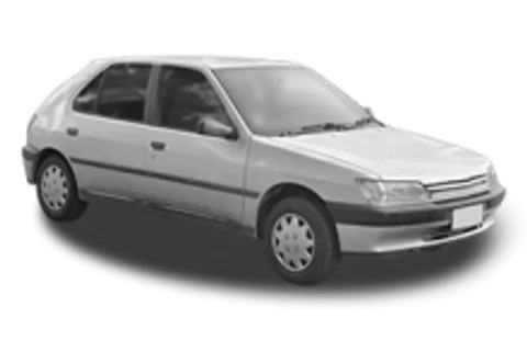 Peugeot 306 — ulei recomandat