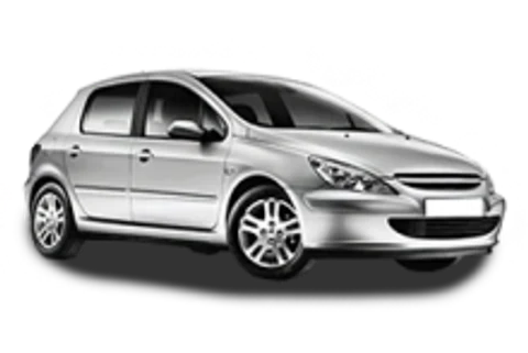 Peugeot 307 — ulei recomandat