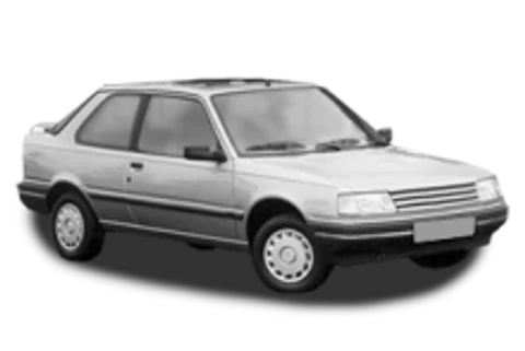Peugeot 309 — ulei recomandat