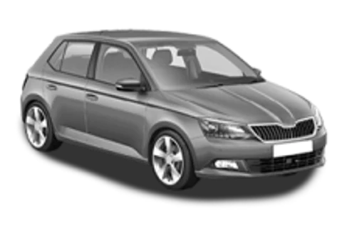 Skoda Fabia IV — ulei recomandat