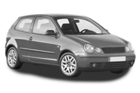 Volkswagen Polo IV — ulei recomandat