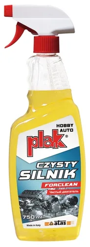 PARYS FORCLEAN