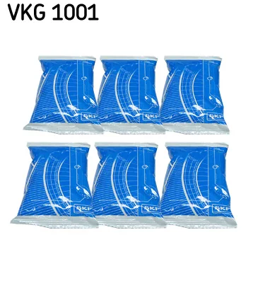 SKF VKG