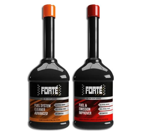 FORTE 1-03
