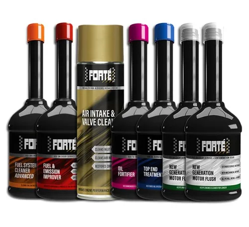 FORTE 2-02