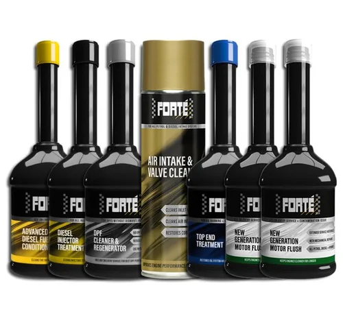 FORTE 3-01
