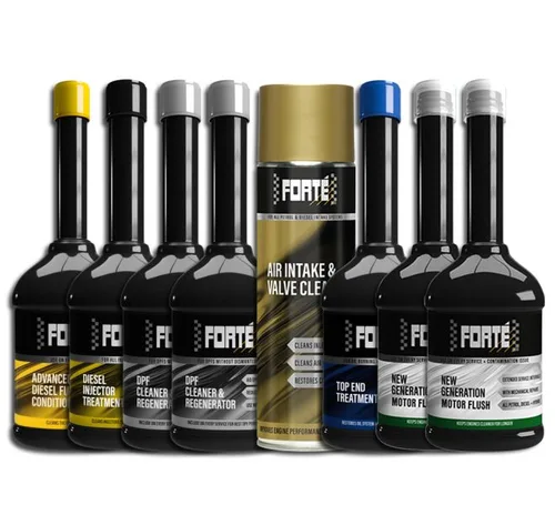 FORTE 3-02