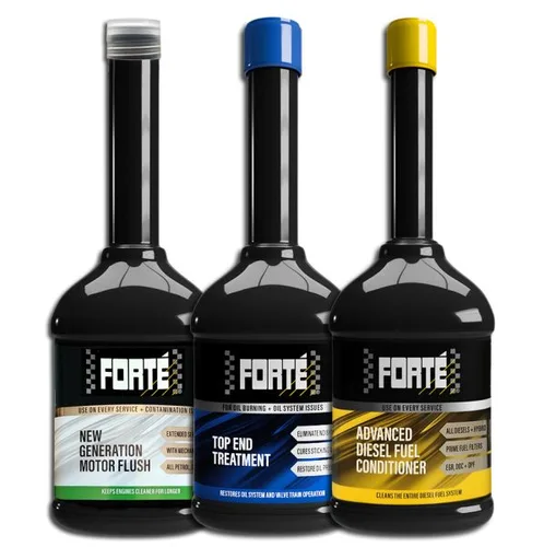 FORTE 6-01