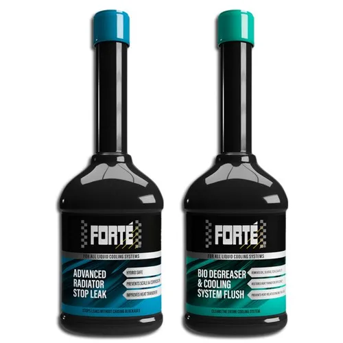 FORTE 10-01